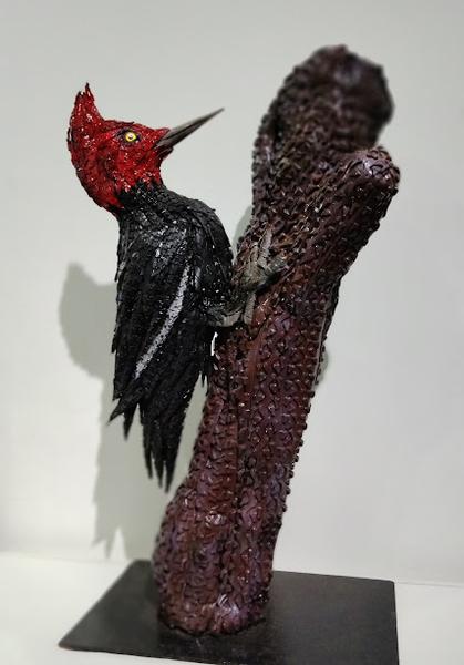 Carpintero Negro (Disponible)