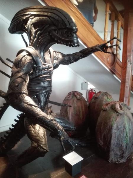 Añien Xenomorfo